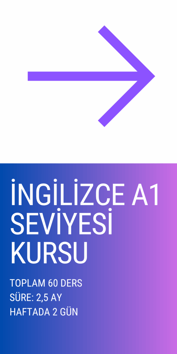 Online İngilizce A1 Başlangıç Seviyesi